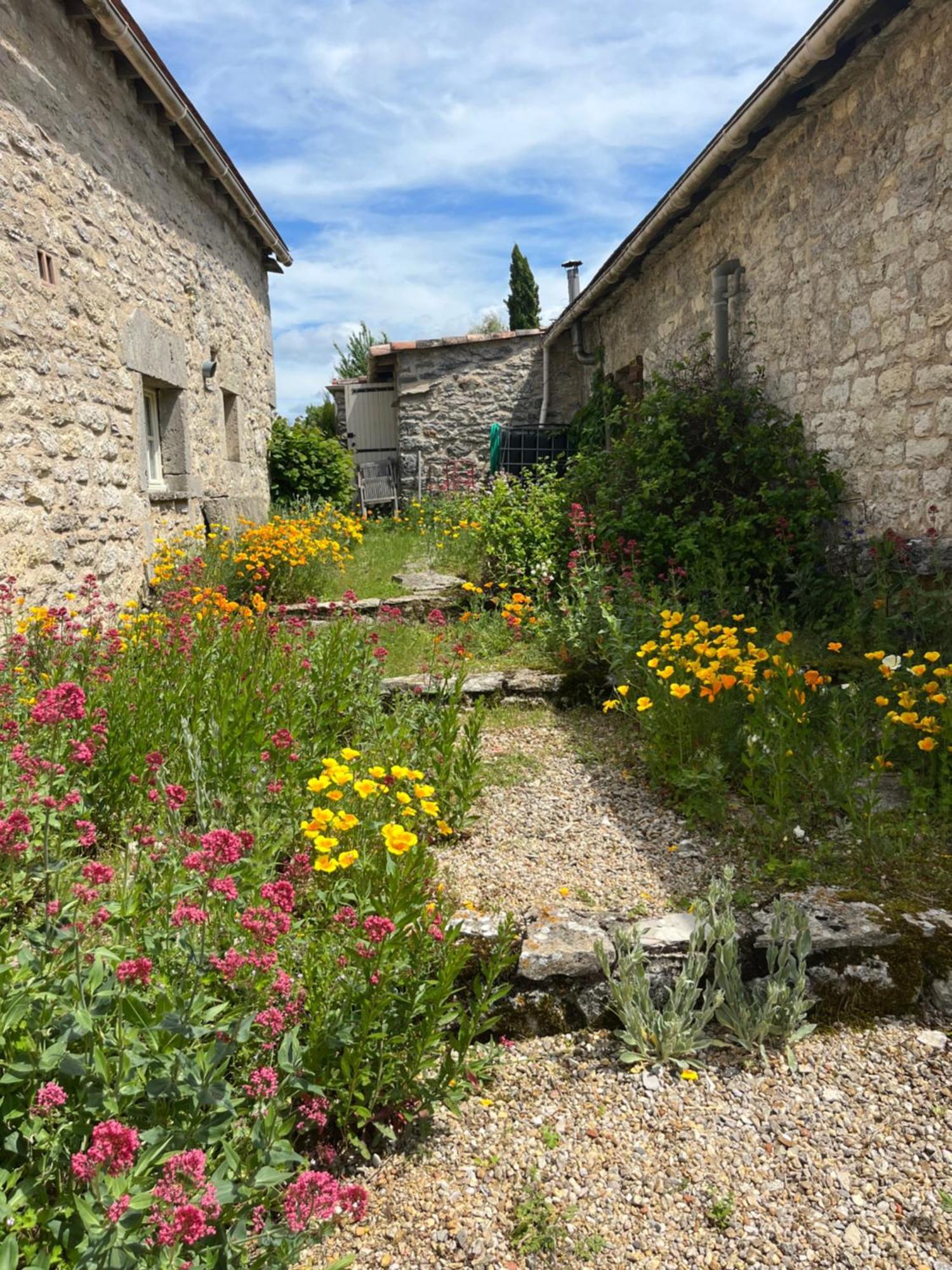 Les Gites Perard Caylus Екстериор снимка